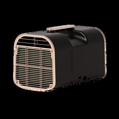 Low Power Portable Air Conditioner 600W Mini Air Conditioner For Car