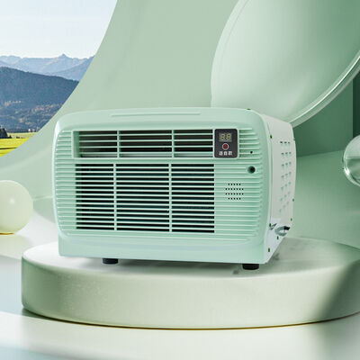 Factory Sale Portable Air Conditioner with 110V 220V for Pet